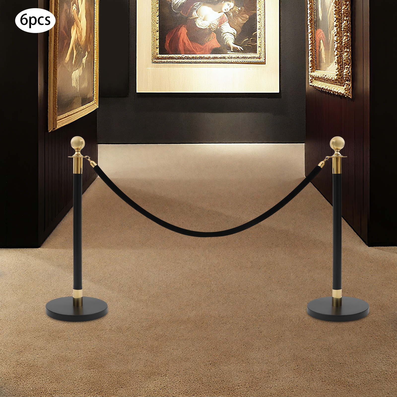 Heavy-Duty Stainless Steel Barrier Post Kit 6 Posts & 3 Ropes for Crowd Control